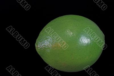 Green Lime