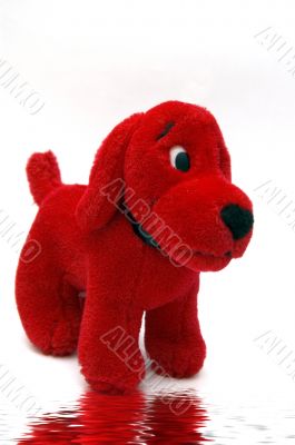 Red Puppy