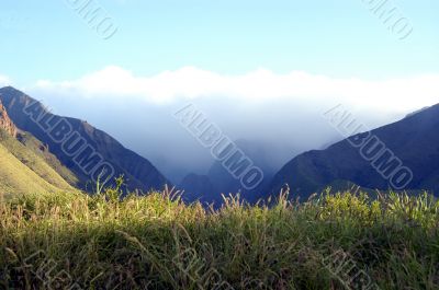 Tropical countryside