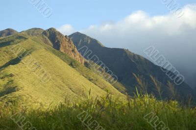 Tropical Mountain