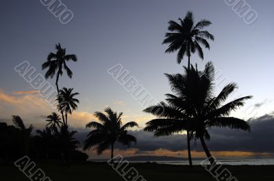 Tropical Sunset