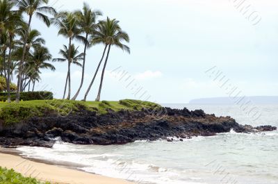Another Tropical beach