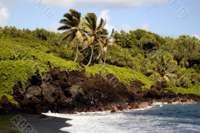 Tropical Beach