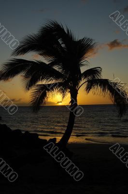 Tropical sunset