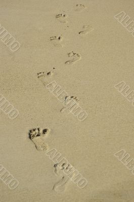 Foot prints