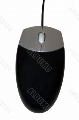 Computer Mouse