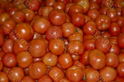 Tomatoes