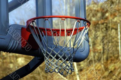 Basketball Hoop
