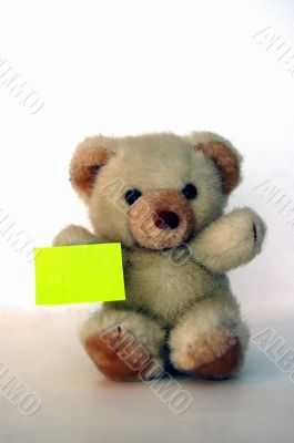 Teddy with a message