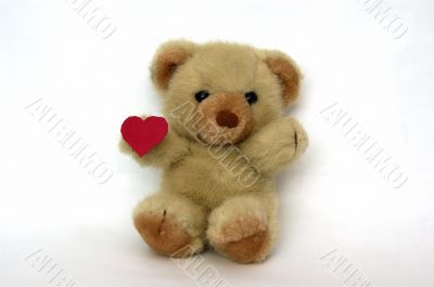 Teddy with a heart