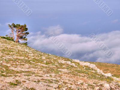 Mountain landscape. Crimea.