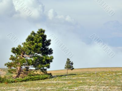 Mountain landscape. Crimea.