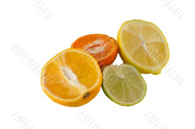 four citrus fruits on white