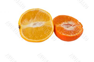 two citrus fruits on white