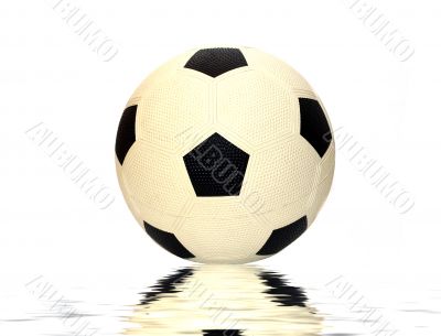 Soccer Ball - Landscape