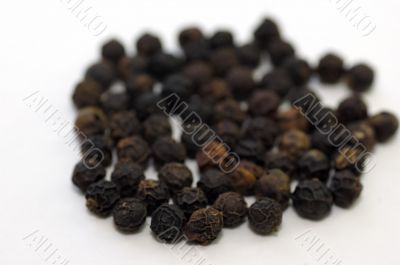 Black Pepper