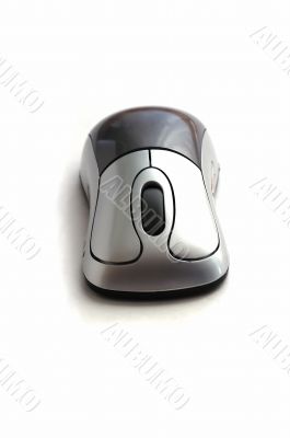 Wireless Mouse