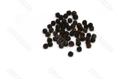 Black Pepper