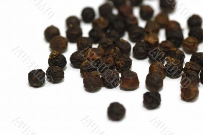Black Pepper