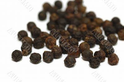 Black Pepper