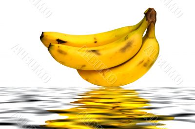 Bananas