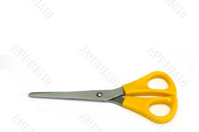Scissors