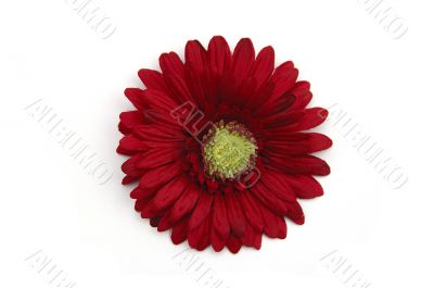 Artifical red flower