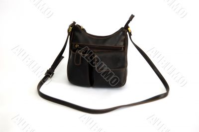 Brown Handbag