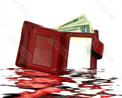 Red Purse