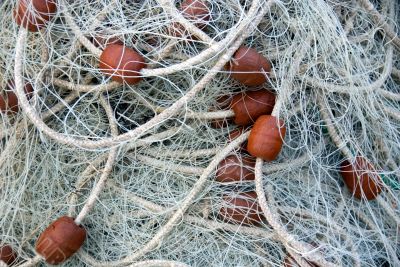 Fishing Net