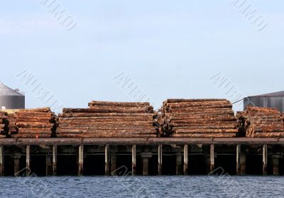 Logs on Wharf