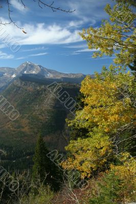 Autumn poplars, mountain valleys & ridges
