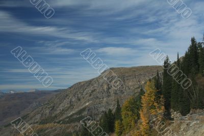 Autumn poplars, mountain valleys & ridges
