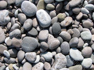 pebbles on the beach of the Black Sea