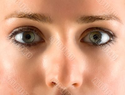 Eyes