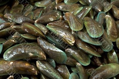 fishmarket - mussels