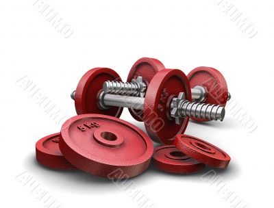 Weightlifting weights