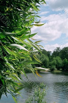 ponds