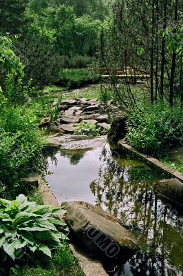 ponds