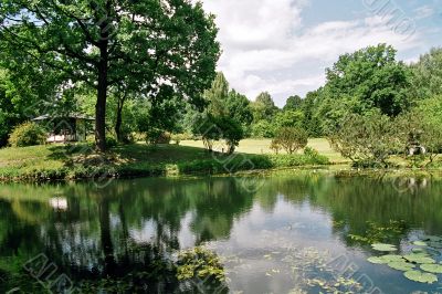 ponds