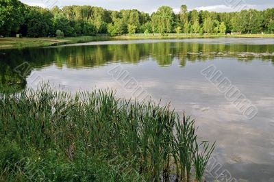 ponds