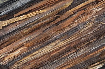 old wood texture