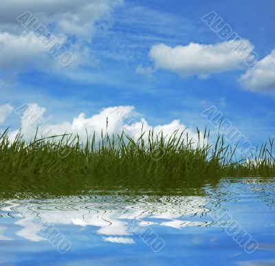 background of grass and blue sky