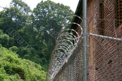 Razor Wire on a Fence