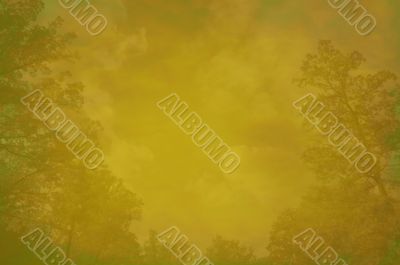 grunge forest background with space for text