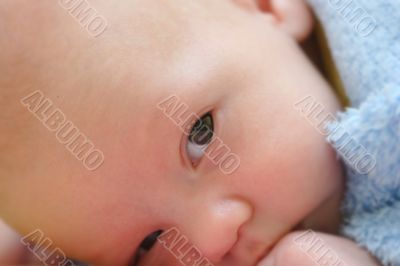 Little baby head close-up