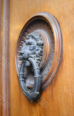 Doors knob #4