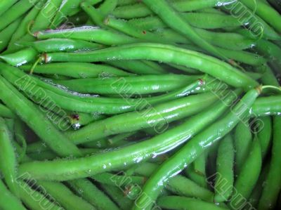 Fresh green boiling beans