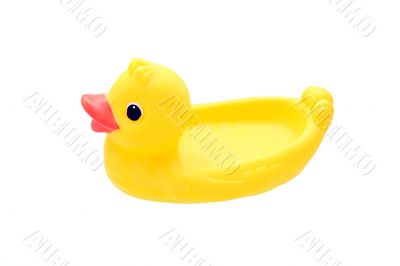 Rubber duck on water on white background
