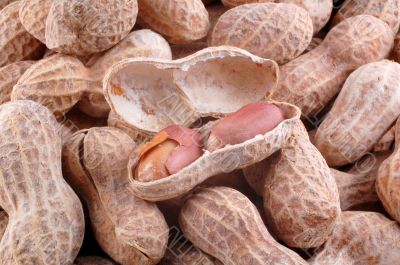 Peanut and Peanut Shells